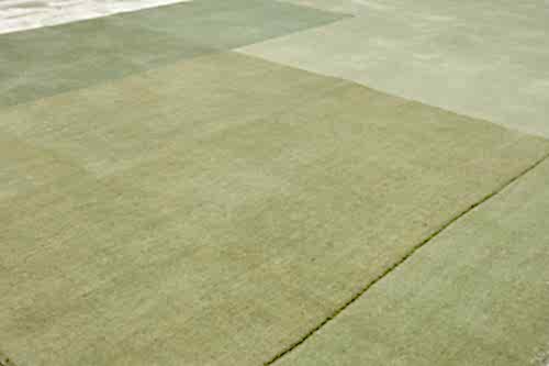 OVERSHADOW VIBRANT 3410